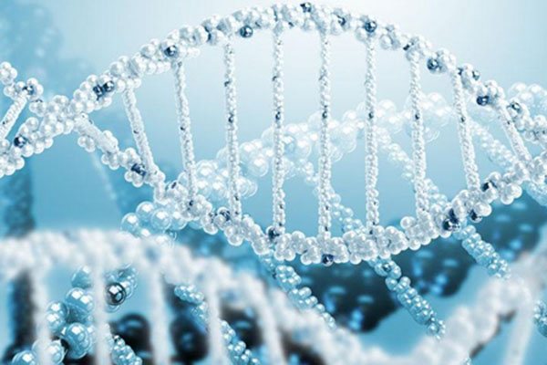 承德衣服血迹DNA可以保存多久 
