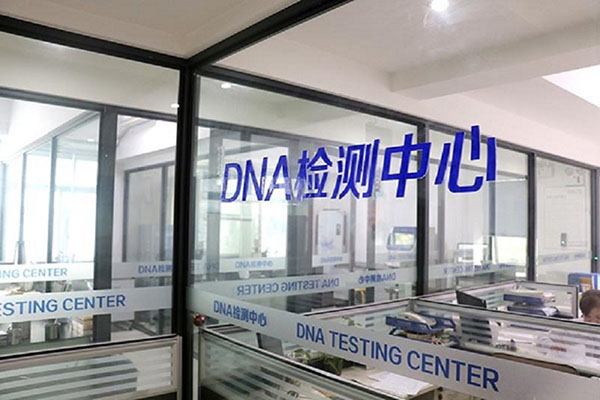 承德全国统一采血DNA入库（一探全国DNA数据库的建设和运行机制） 